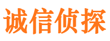 龙湖市侦探调查公司